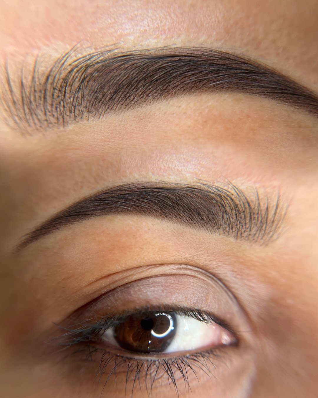 @brow__boutique Soft Ombr&eacute; Close Up 👀