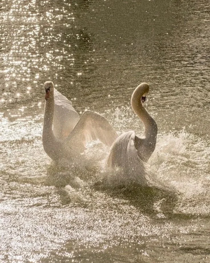 what would you do if you weren’t afraid?