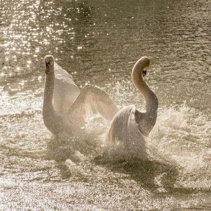 what would you do if you weren’t afraid?