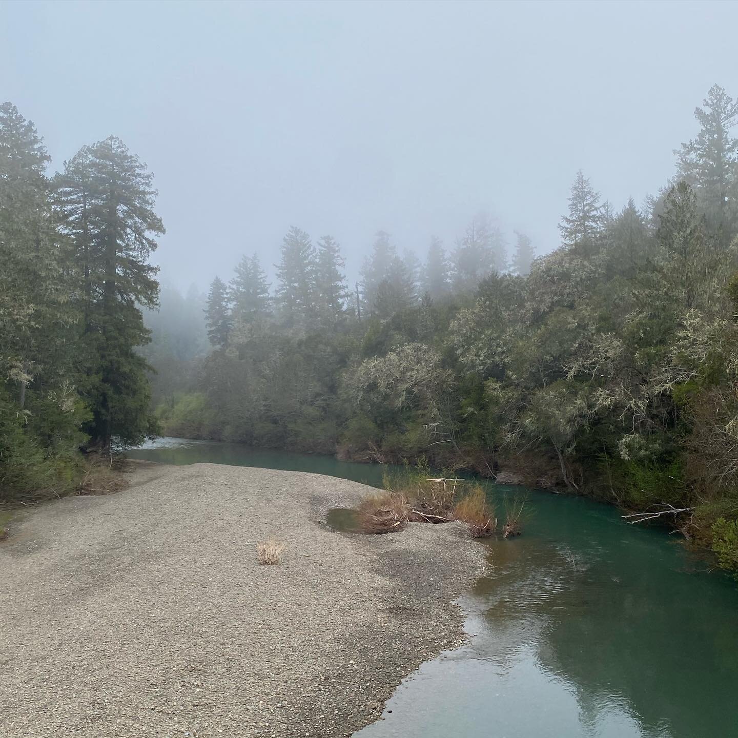 Anderson Valley&rsquo;s foggy morning glory