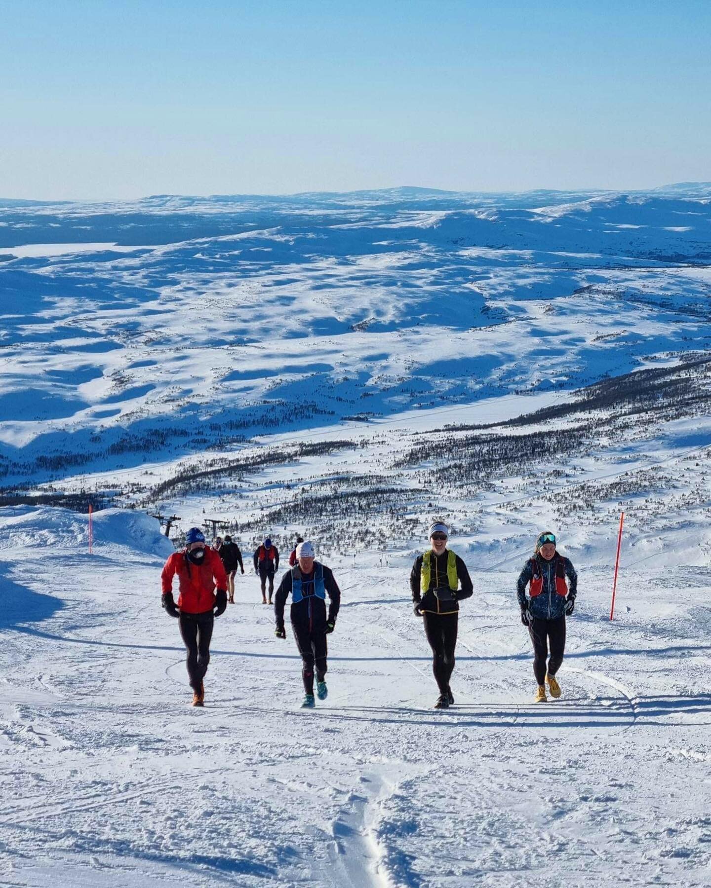 Nyp mig i armen vilken magisk kv&auml;ll p&aring; skutan. 9 pers blev vi som tog oss an Tisdags-Vertikalen 🗻🏃🏻&zwj;♀️🏃🏻&zwj;♂️🏃🏻&zwj;♀️

📸 @spexz 

#&aring;re #vertikalkilometer #themountainsarecalling #winterrun