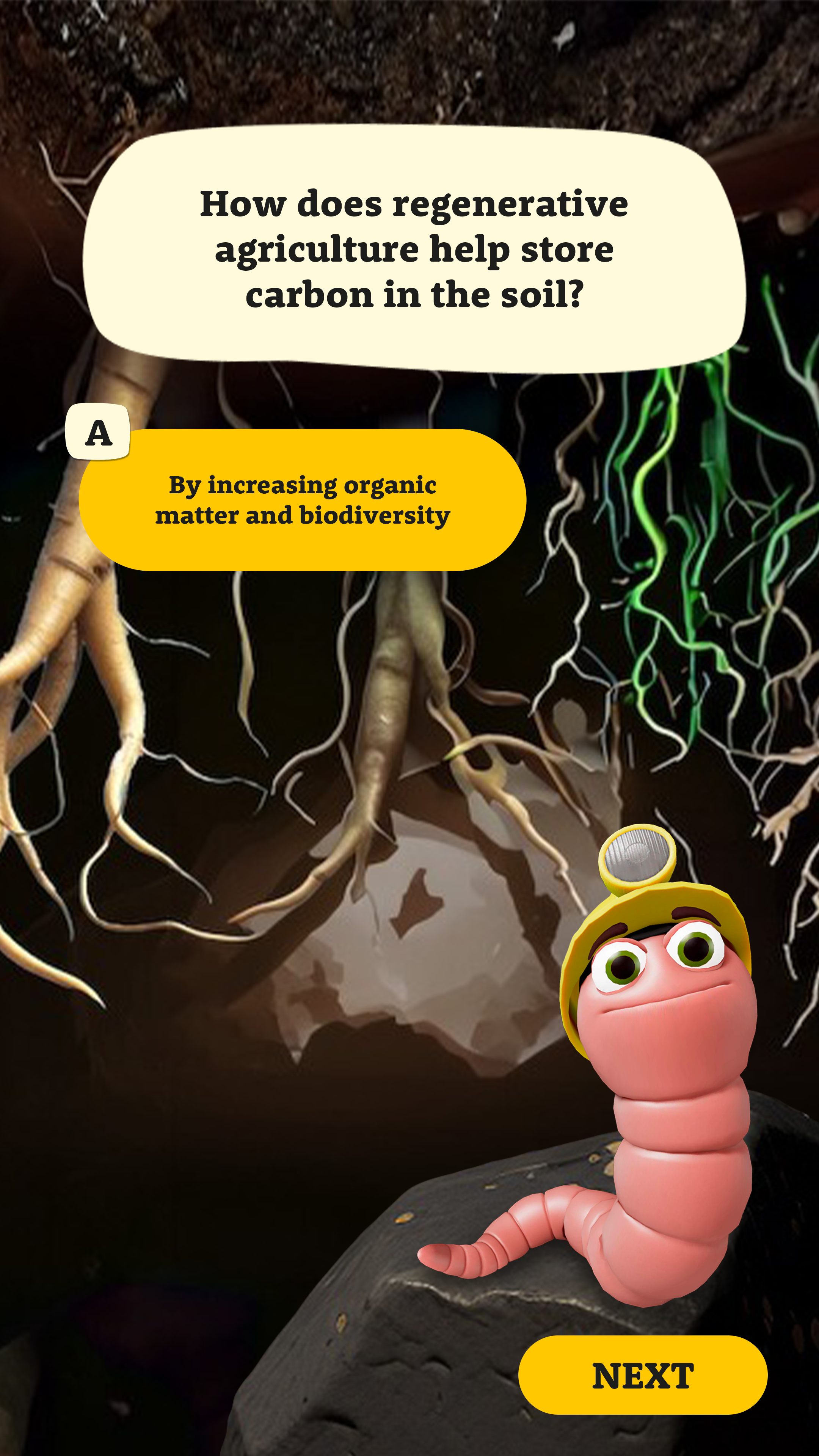 Regen_Wireframe_Answer_Screen_Soil_full screen.png