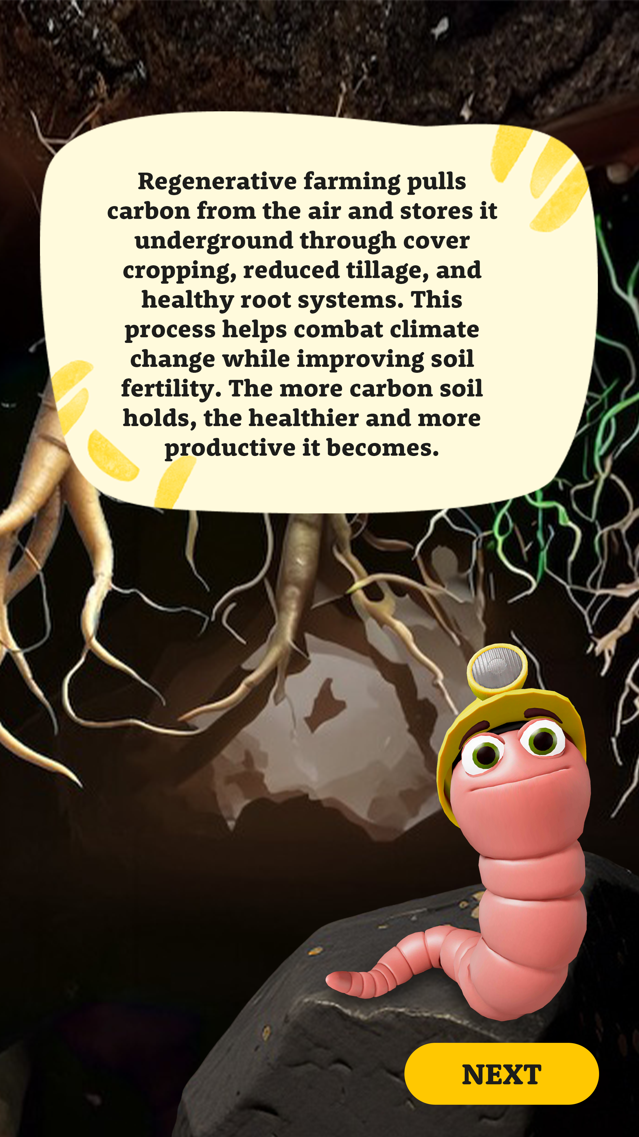 Regen_Wireframe_Education_Screen_Soil_full screen.png