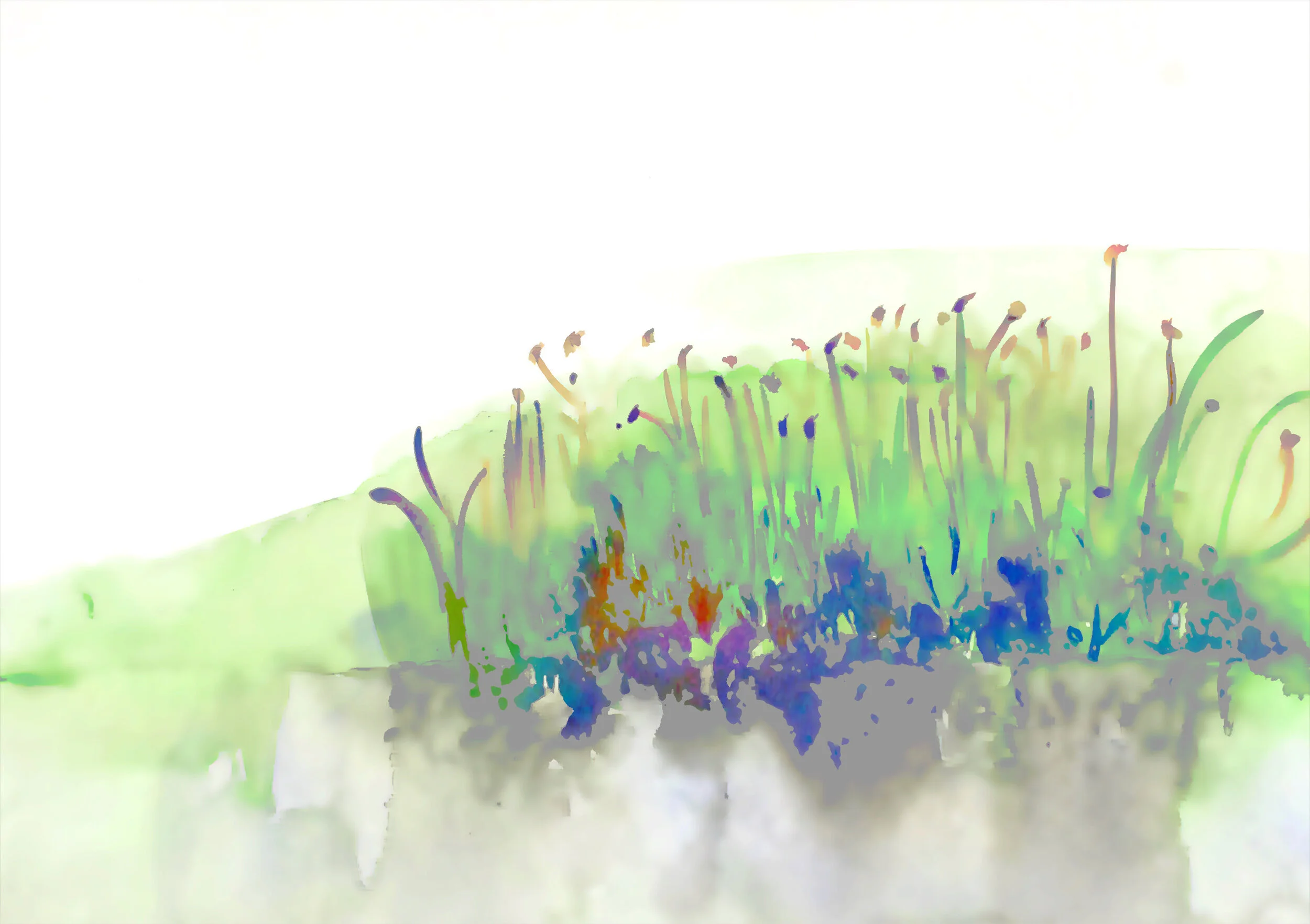 Land and Reflection