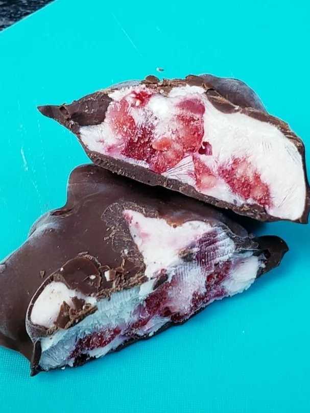 Chocolate Covered Yogurt Fruit Clusters