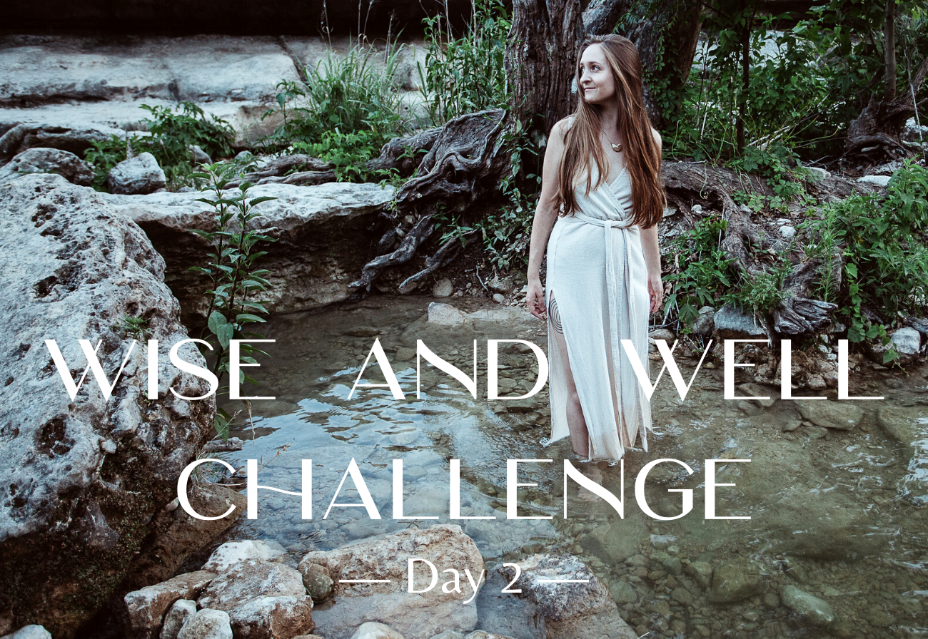 wise and well challenge (3).png
