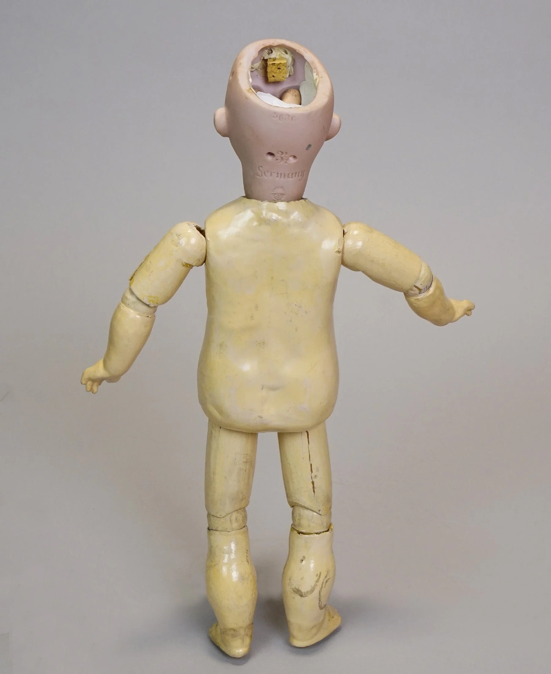 Germ-905-l.JPG