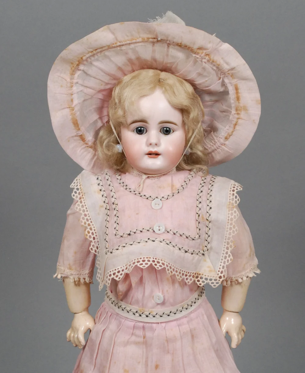 Germ-673-e.JPG?format=1000w