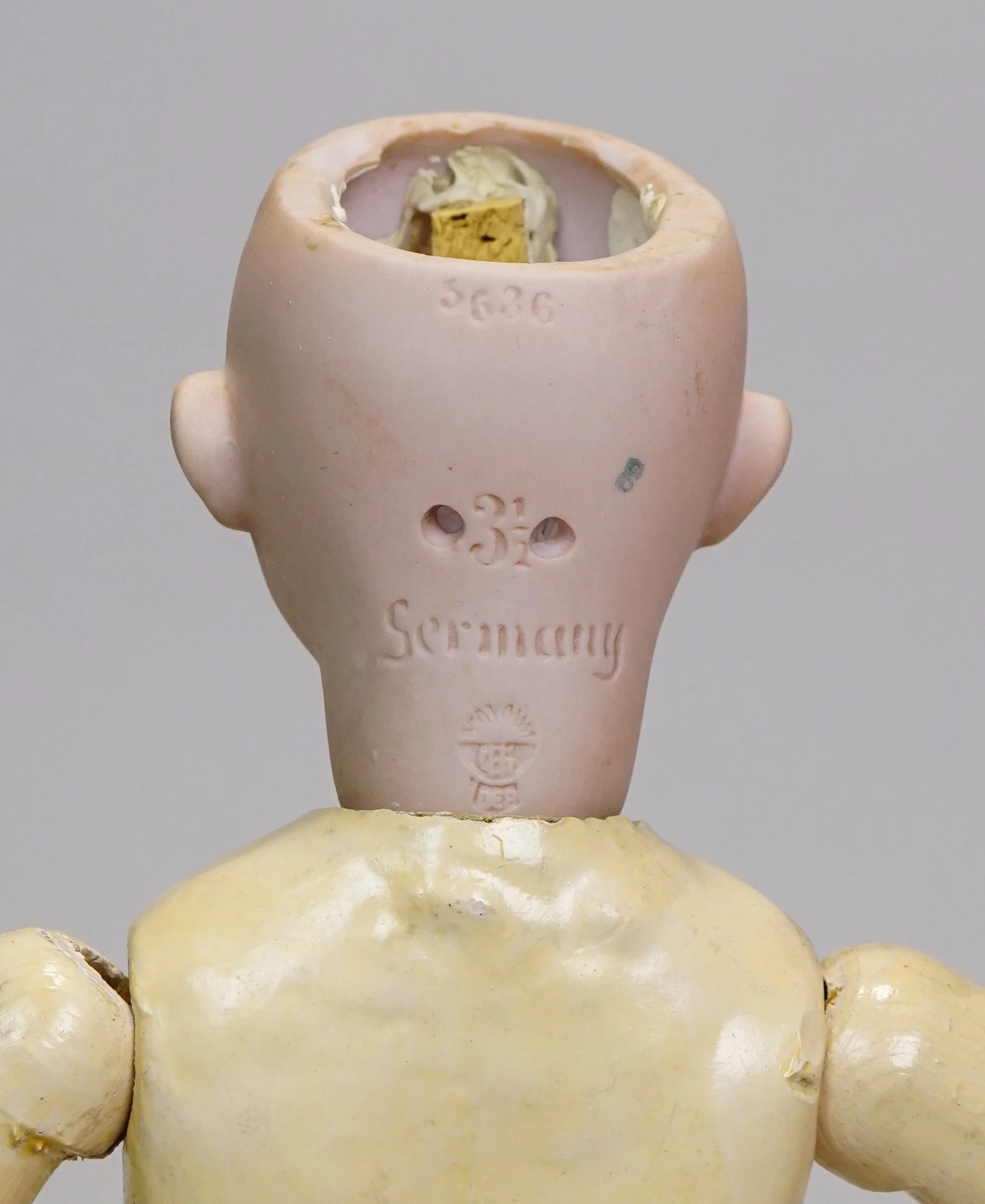 Germ-905-m.JPG