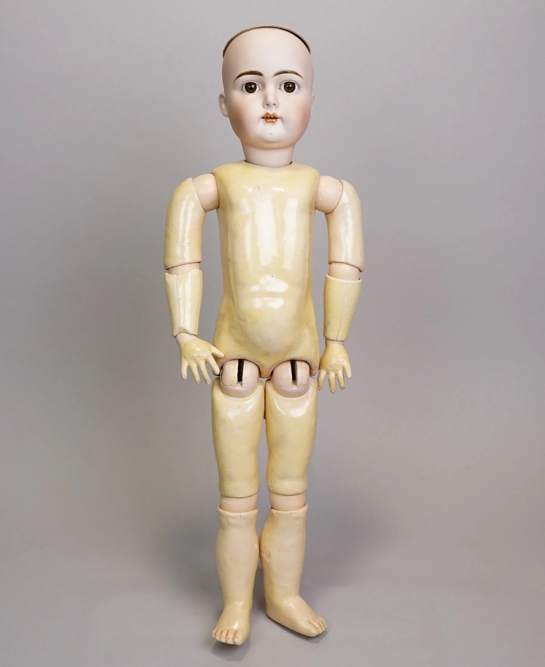 Germ-907-k.JPG