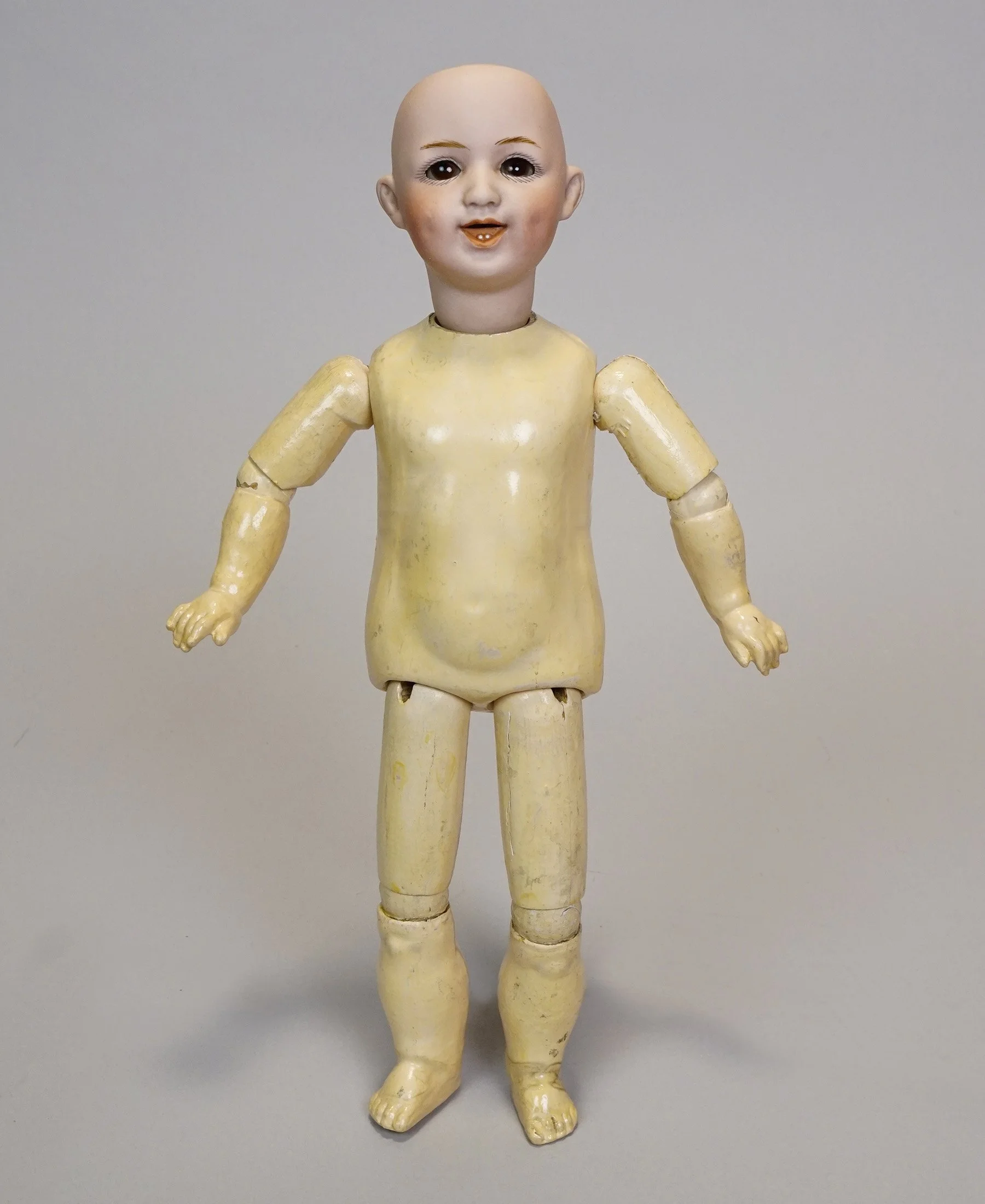 Germ-905-k.JPG