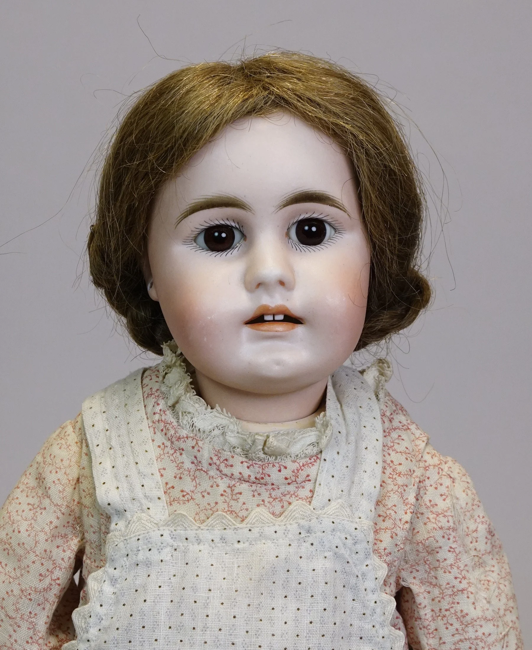 Germ-903-b.JPG