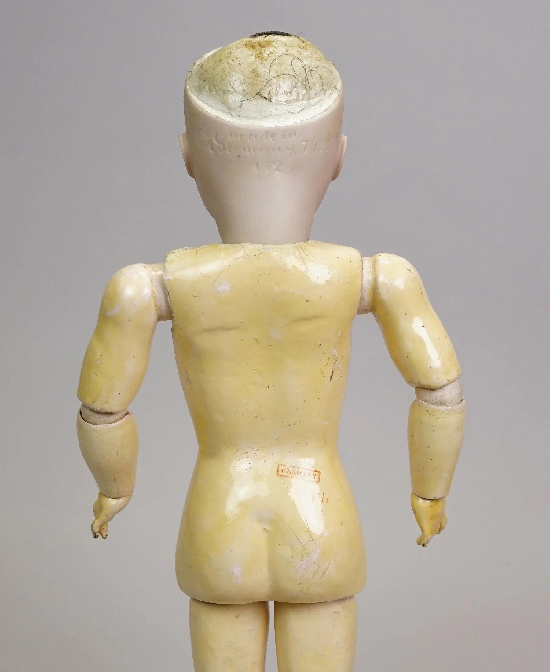Germ-893-m.JPG