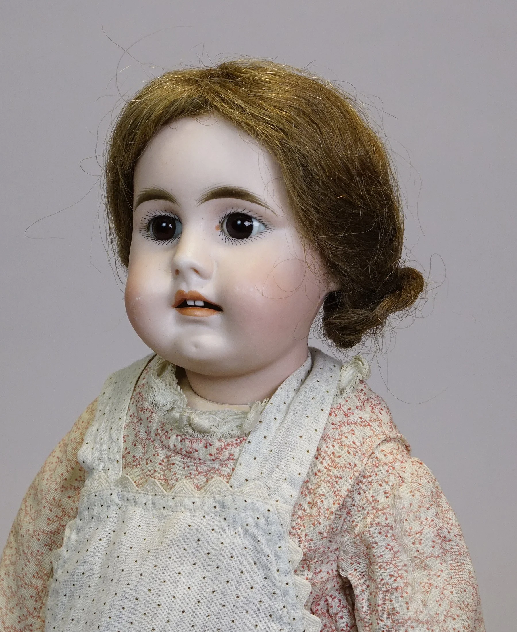 Germ-903-c.JPG