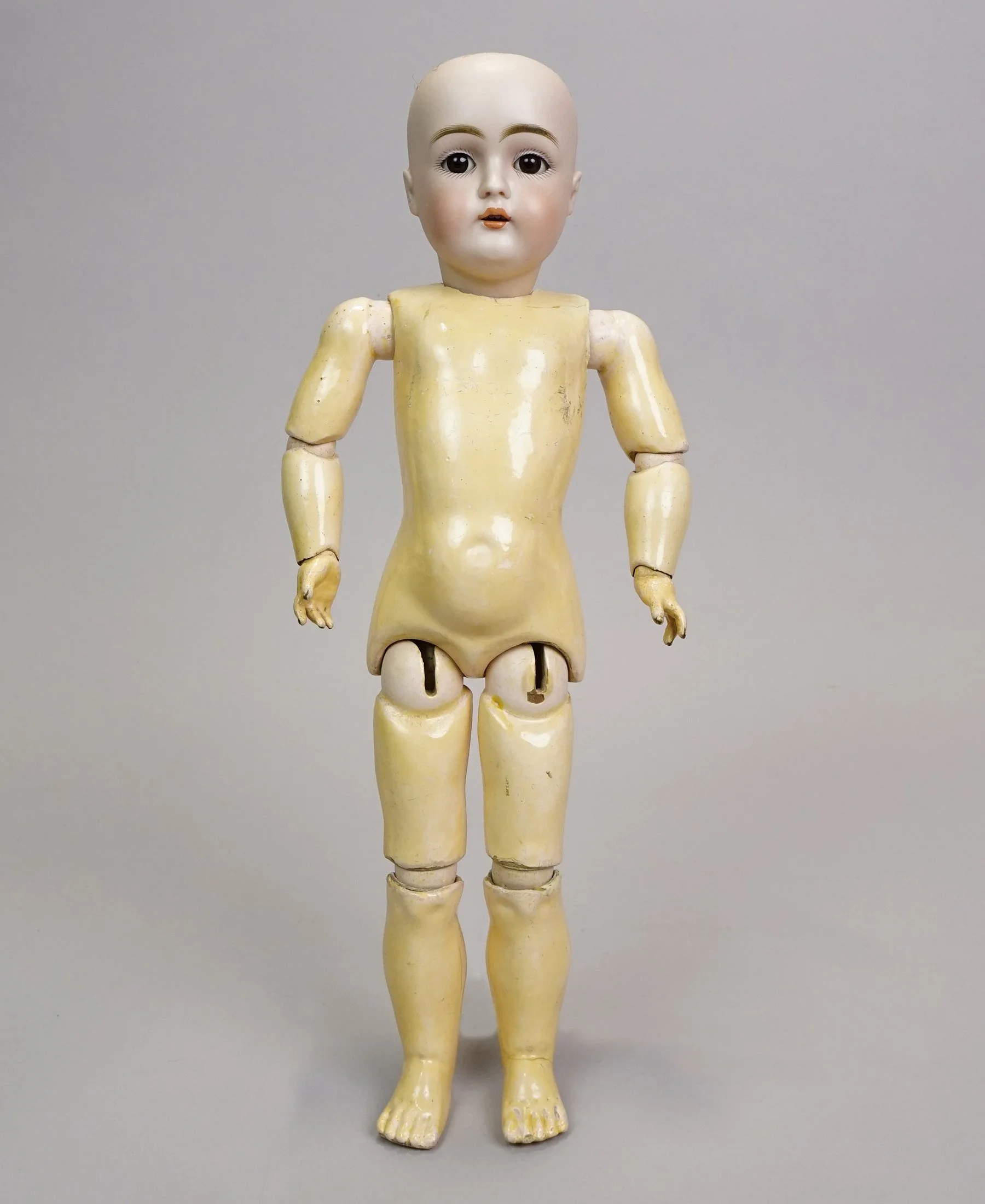 Germ-893-k.JPG