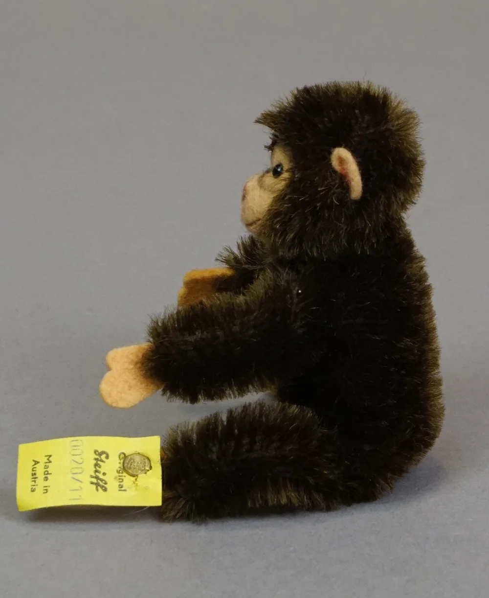 TED-222-d.JPG?format=1000w