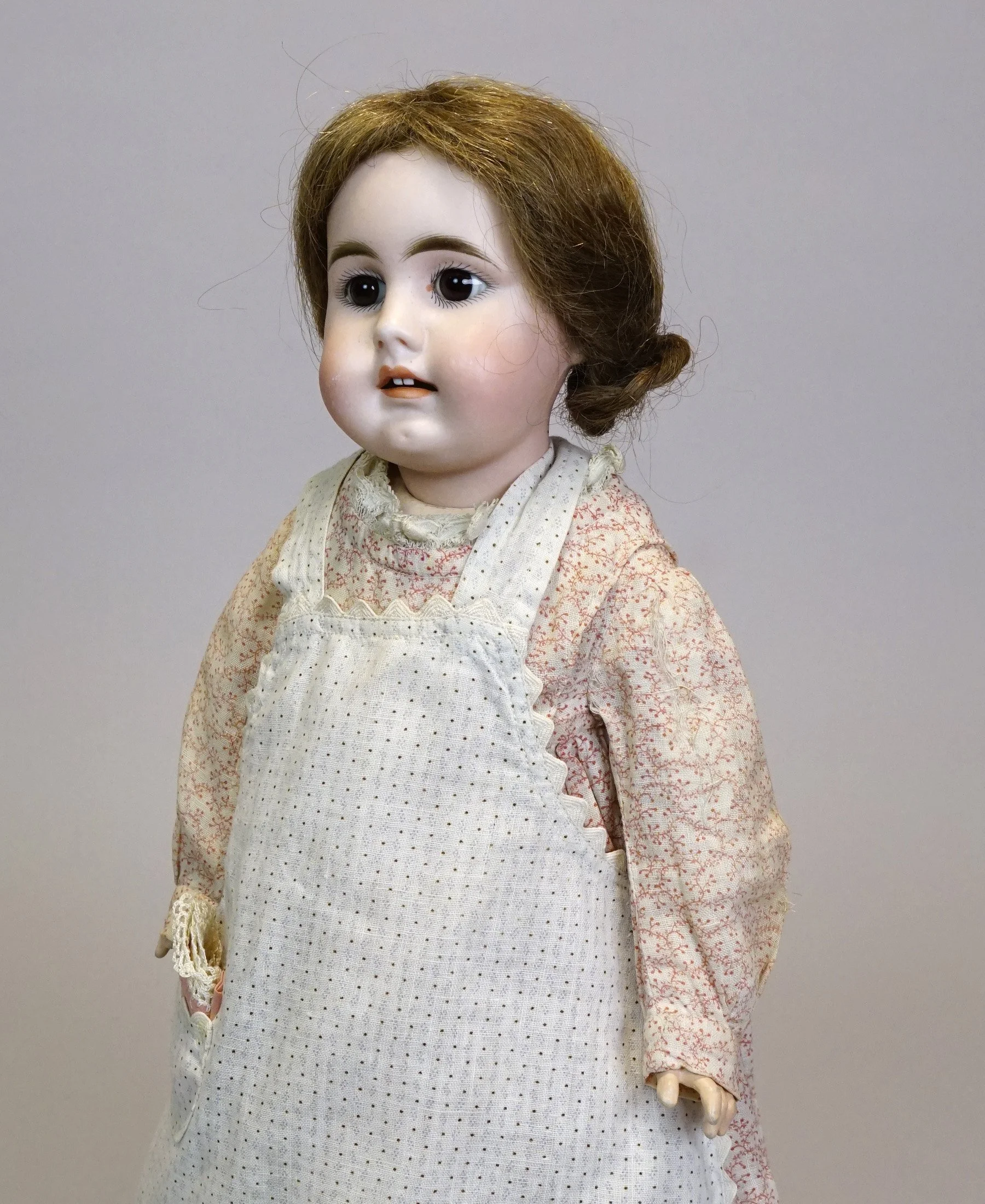 Germ-903-f.JPG