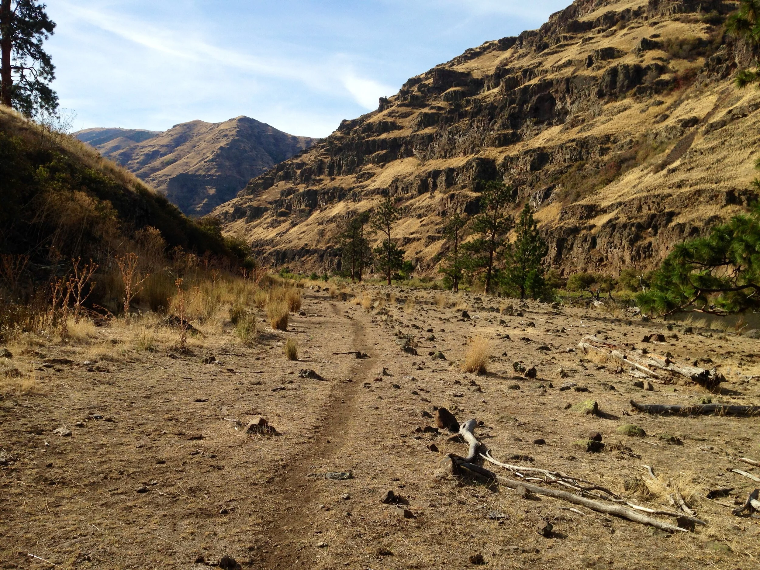 What Path Are We Going to Take?