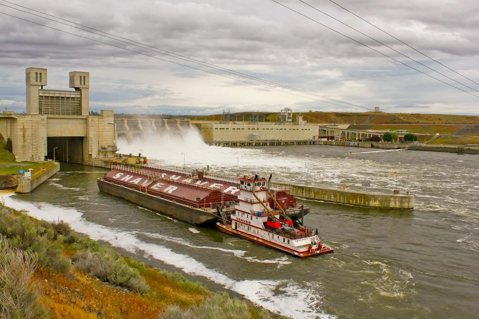 This Weekend Take Action to Restore the Lower Snake River