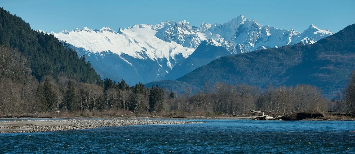 Learning to Swim: The Early Life of Steelhead and its Implications for Management - Part Two