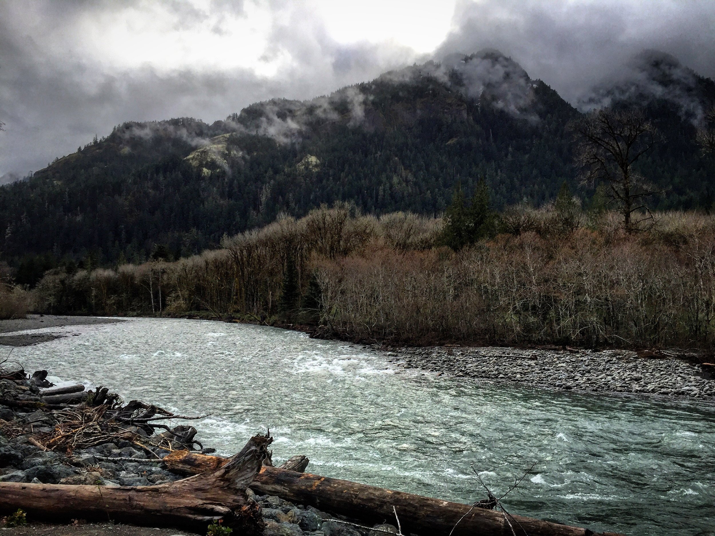 Not an Exoneration, but a Wake Up Call