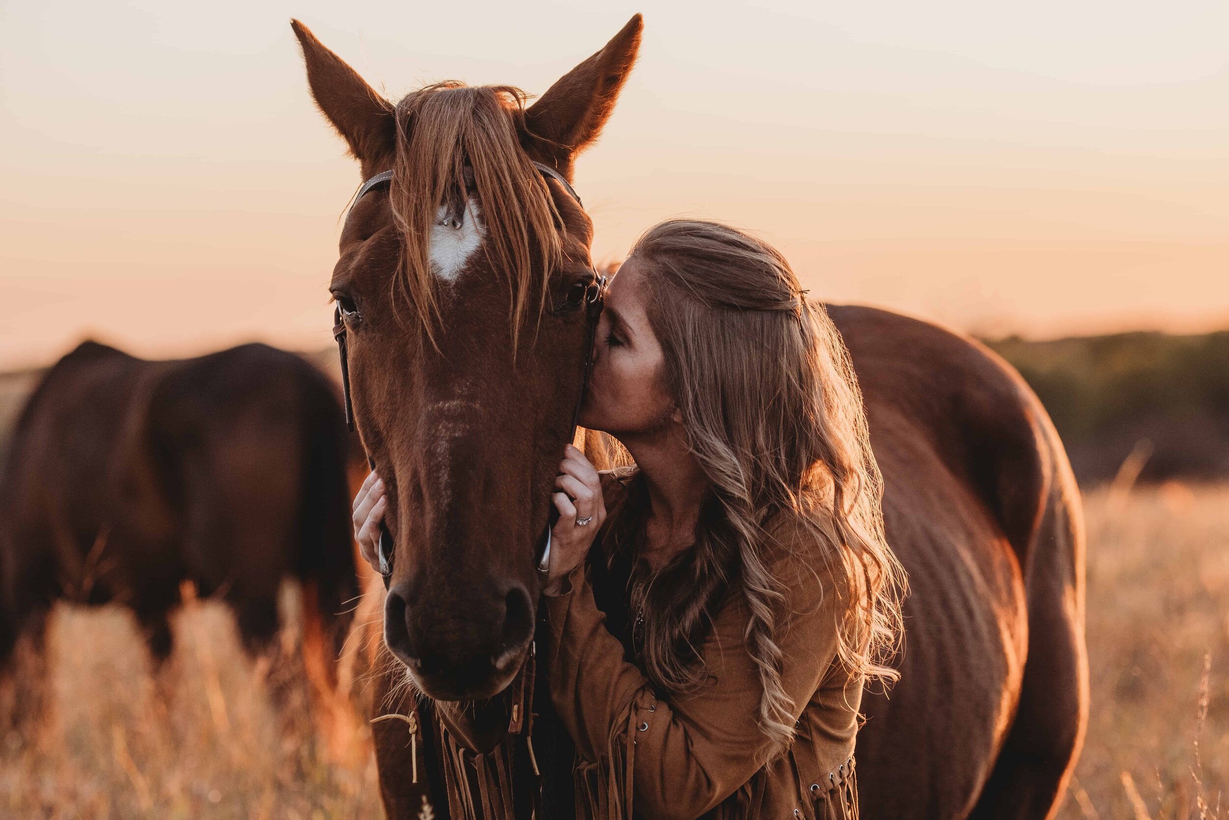 Meet George | Kill Pen Rescue