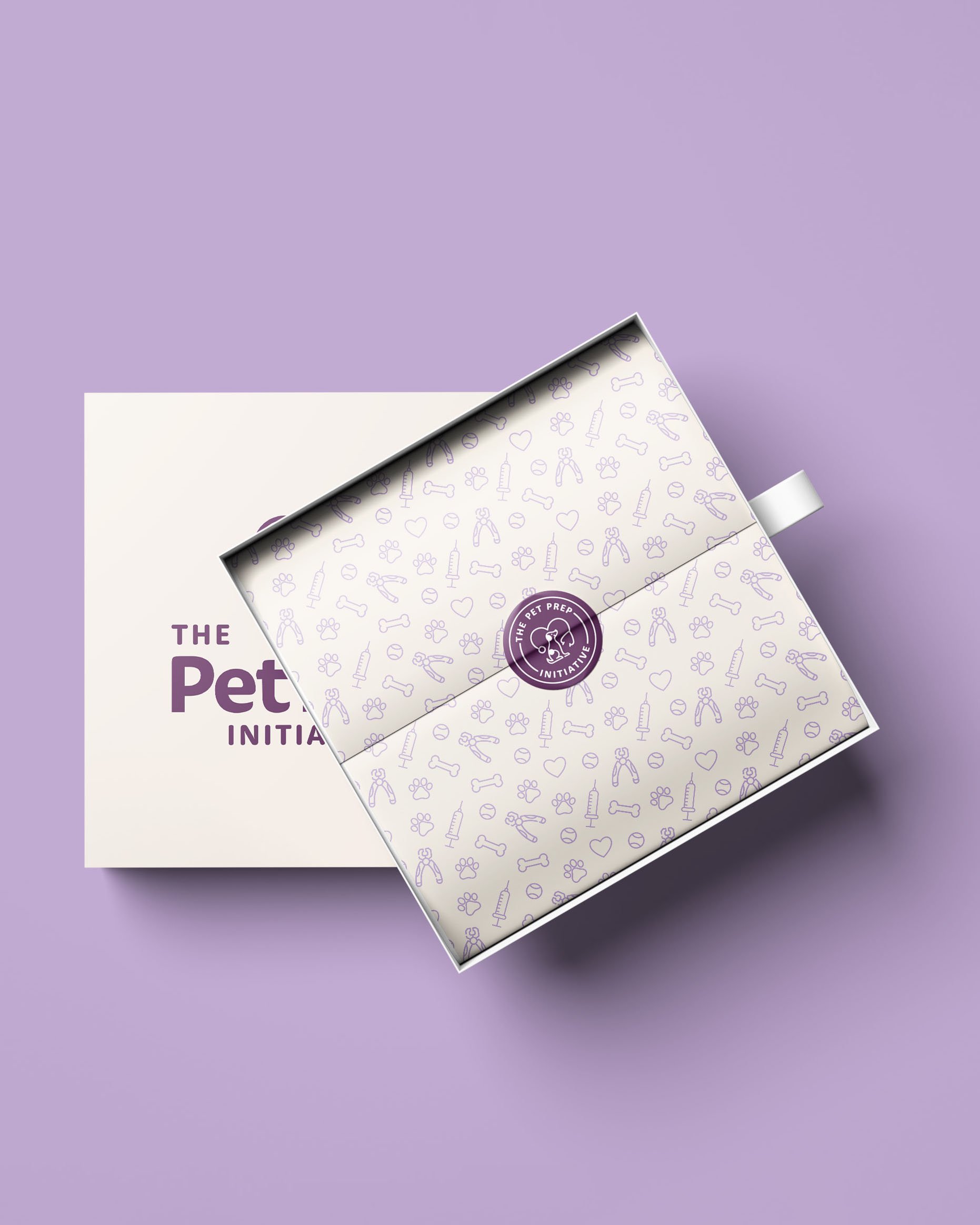 Branding elements including color palette and patterns for pet business