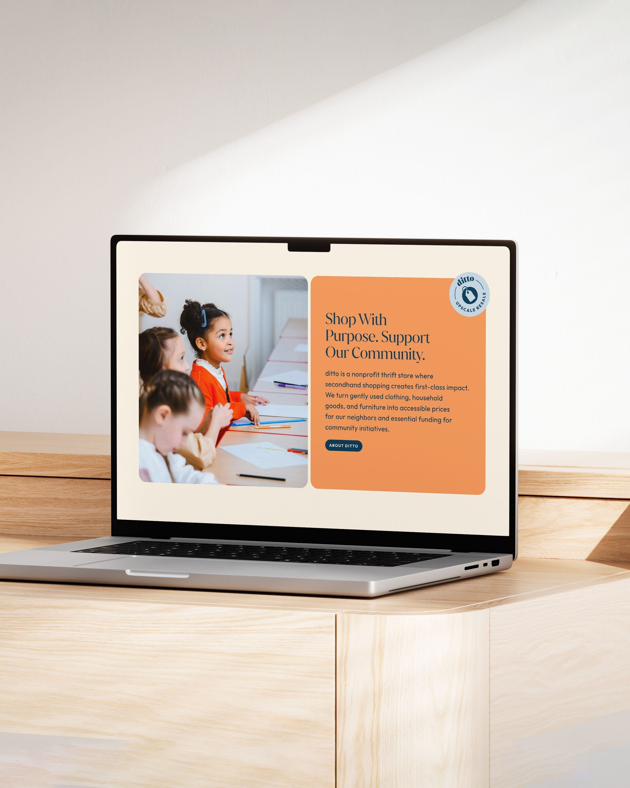 ditto donation and volunteer information website page