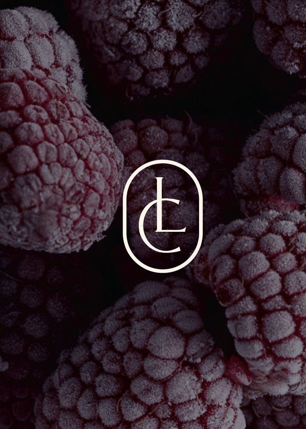Lauren Cohen Nutrition custom logo design featuring an elegant wordmark and circular monogram icon.