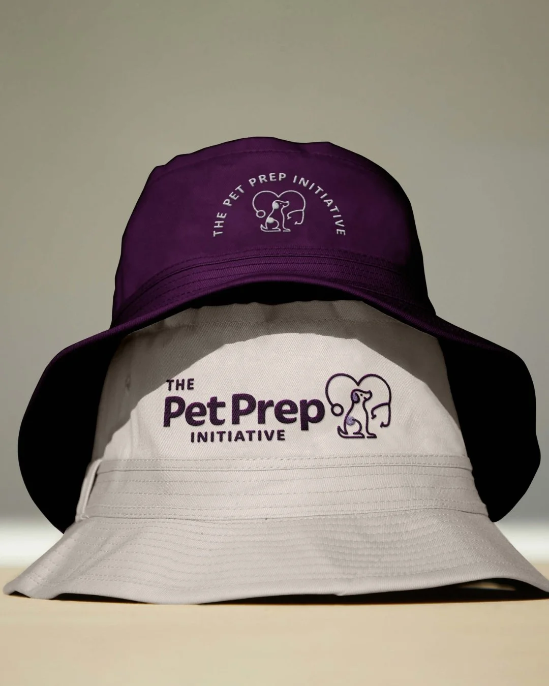When your business is evolving, your brand and website should evolve with it.

Pet Prep Initiative came to life through a full branding and custom Squarespace website design&mdash;created to feel playful, professional, and instantly trustworthy. From