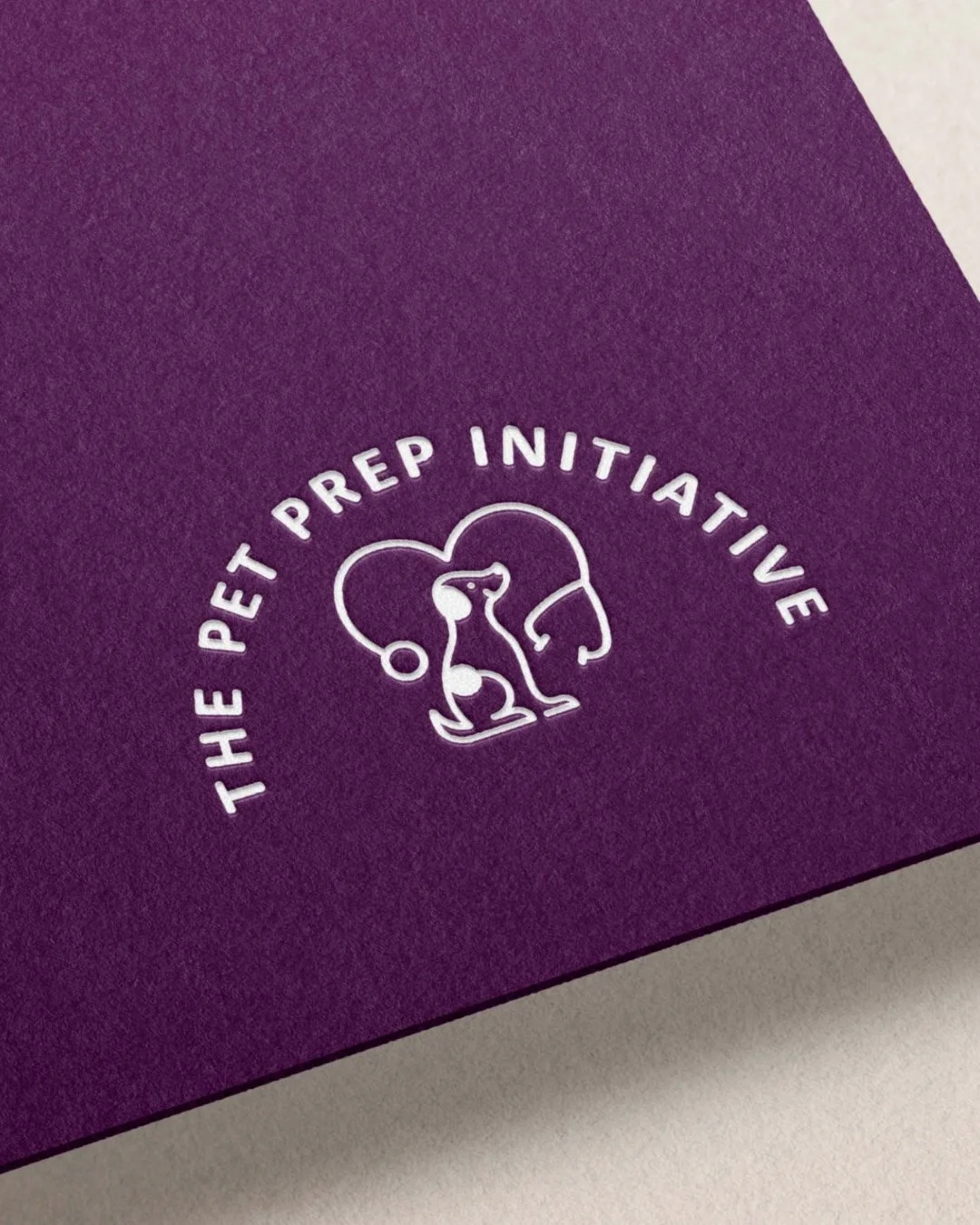 When your business is evolving, your brand and website should evolve with it.

Pet Prep Initiative came to life through a full branding and custom Squarespace website design&mdash;created to feel playful, professional, and instantly trustworthy. From