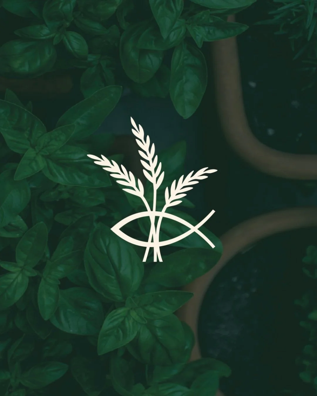Bringing branding to life 🌿

Creating the perfect visual identity for Wholly Mended Nutrition was such a joy! 🌾 Based in Idaho, we crafted a nature-inspired color palette and a holistic, Christian-based design approach that truly reflects her missi