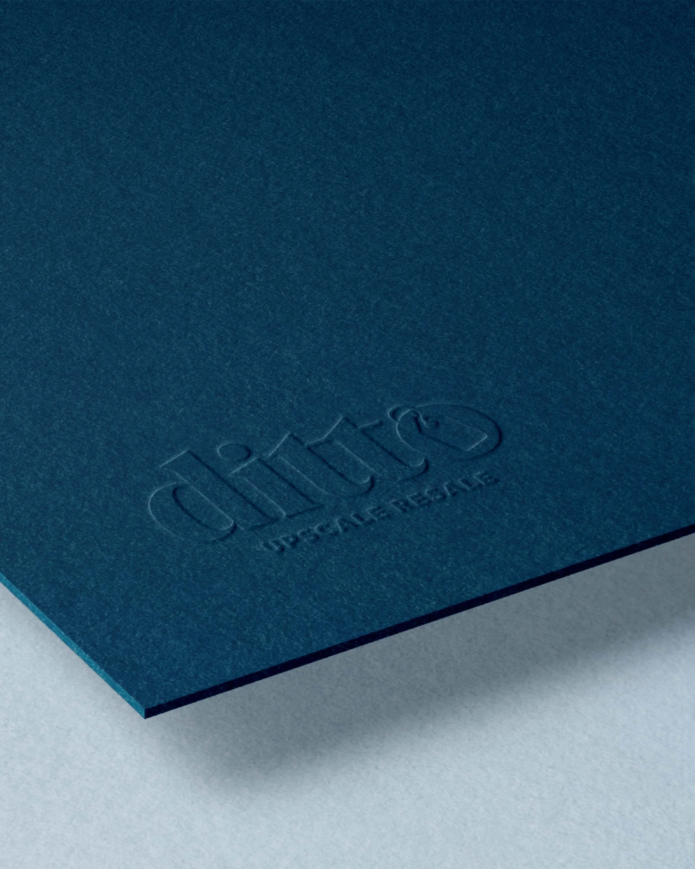 ditto nonprofit resale brand color palette and typography