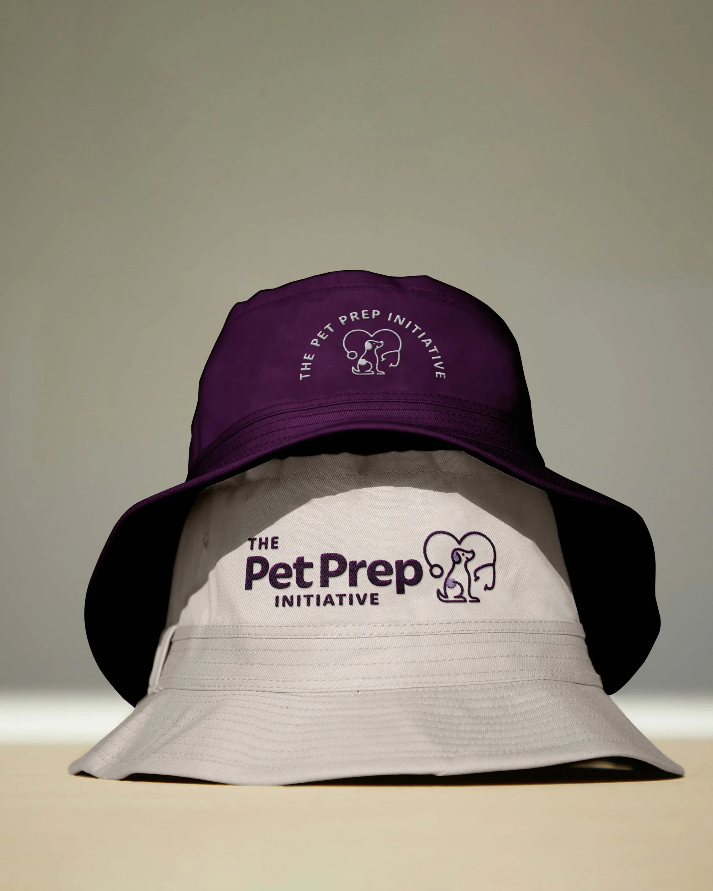 Custom branding and website design for UK-based pet business