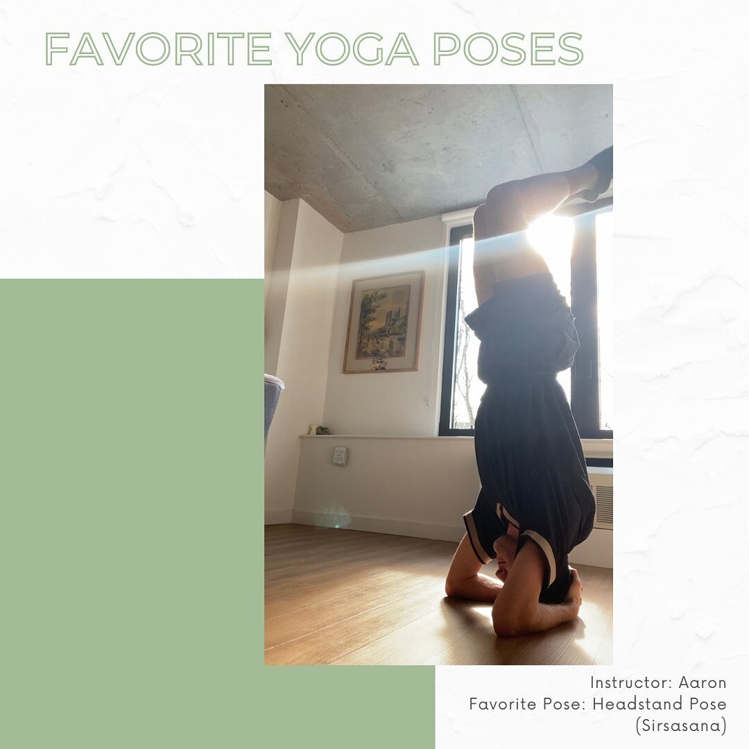 Power Move Yoga Instructor Aaron's favorite yoga pose is Headstand. The benefits of Headstand are that it alleviates stress, promotes detoxification, and releases endorphins. 

We asked Aaron why he loves Headstand and he said the rush of fresh blood