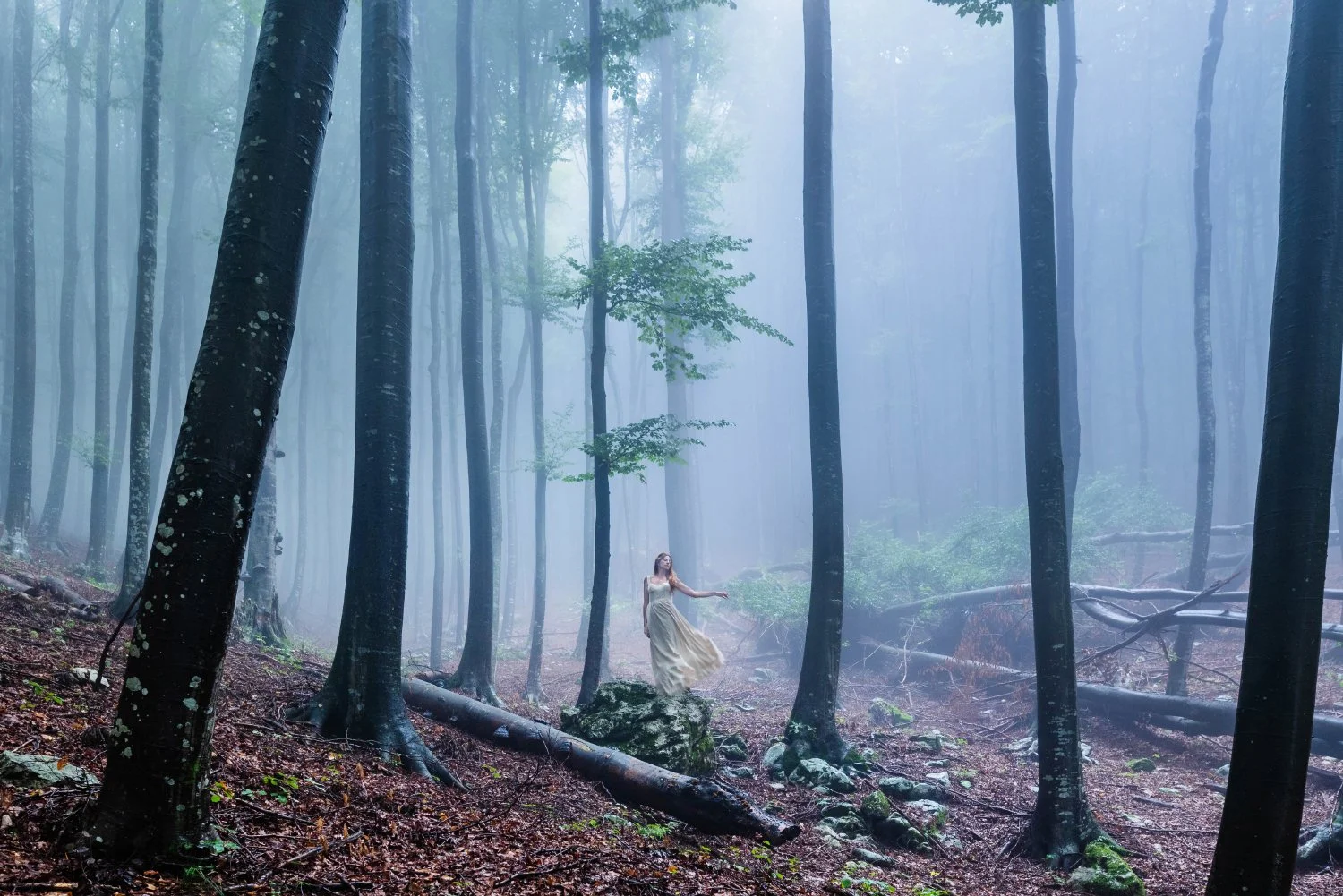 DSC_4708- - Copie10.jpg