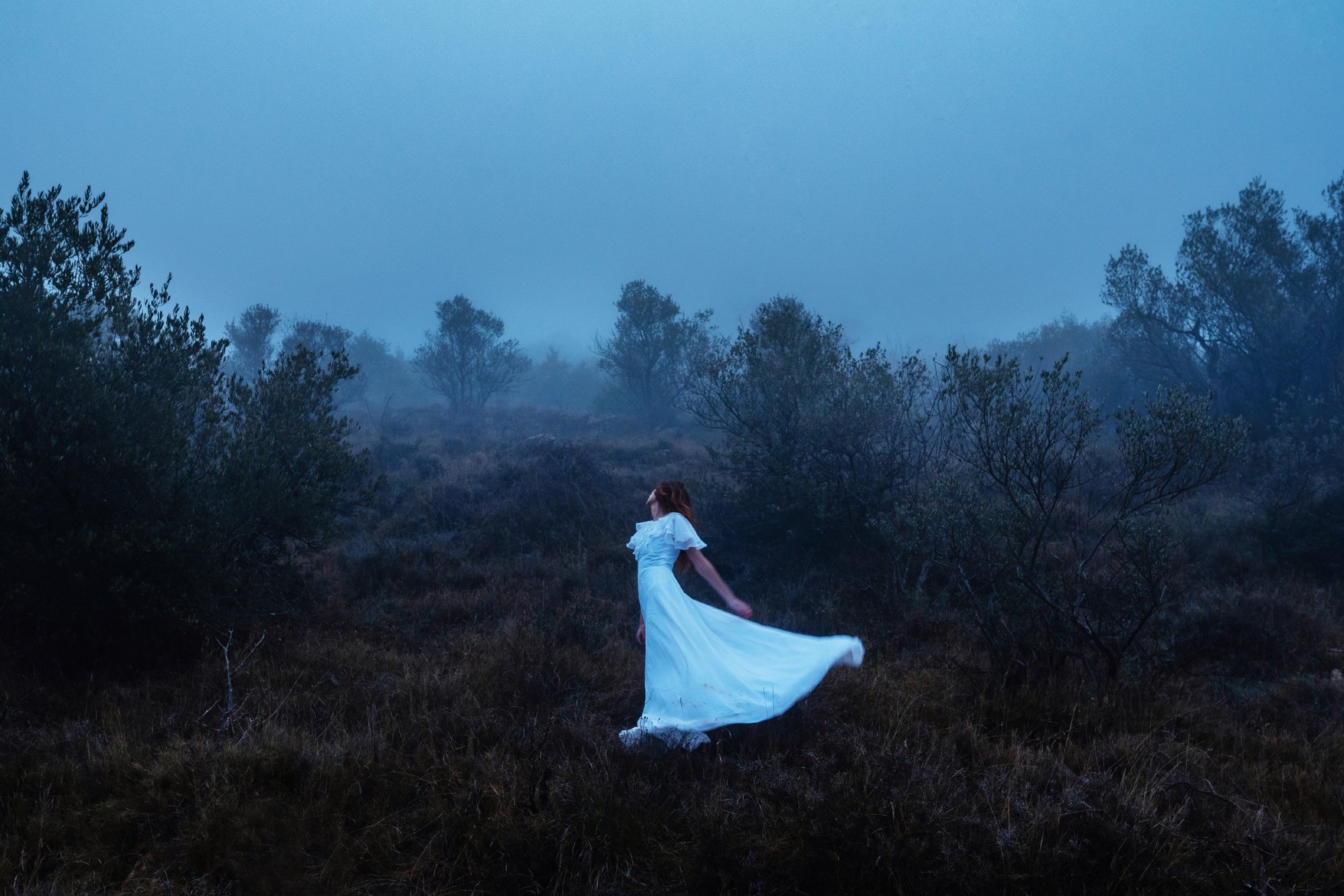 DSC_6508-1-4 crop2.jpg