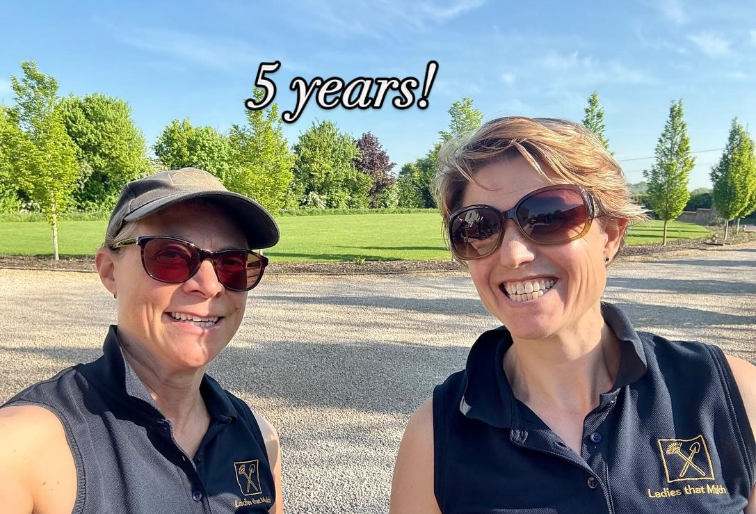 A lovely project completed in the sunshine today, marking 5 years since we started #ladiesthatmulch
#gardendesign #changeofcareers #smallbusiness #gardentransformation #5yearanniversary #woodhamplant #fieldcompost #thepotcompany