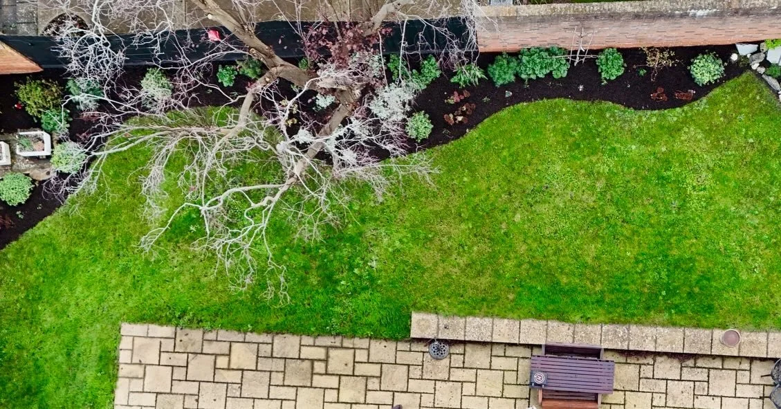 Revisiting this garden this week and loving how the structure and pops of colour bring life to the winter months.  A space designed for our client to enjoy even in the colder season. 
#wintergarden #gardendesign #gardeninspiration
