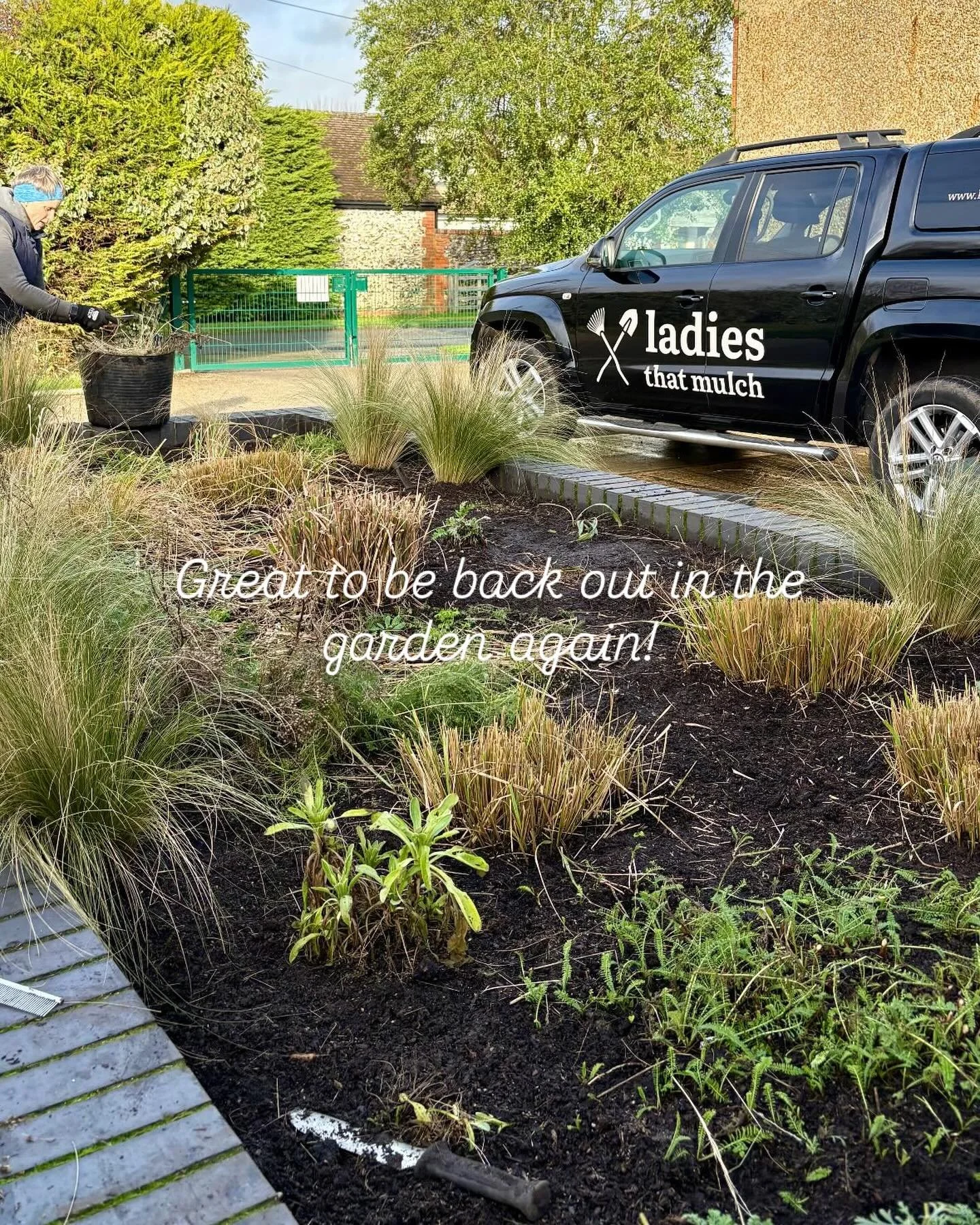 What a lovely day to be back out in the fresh air! 
#wintergardening #grassesinthegarden #wintersunshine