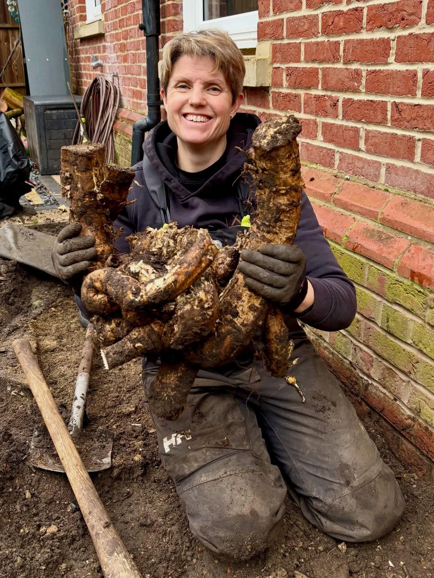 Wisteria root excavation, a great way to burn off any excess calories consumed over Christmas! 
Be careful if you are thinking of planting it near your house as the roots of this one went quite deep! 
#wisteria #borderpreparation #wintergardening