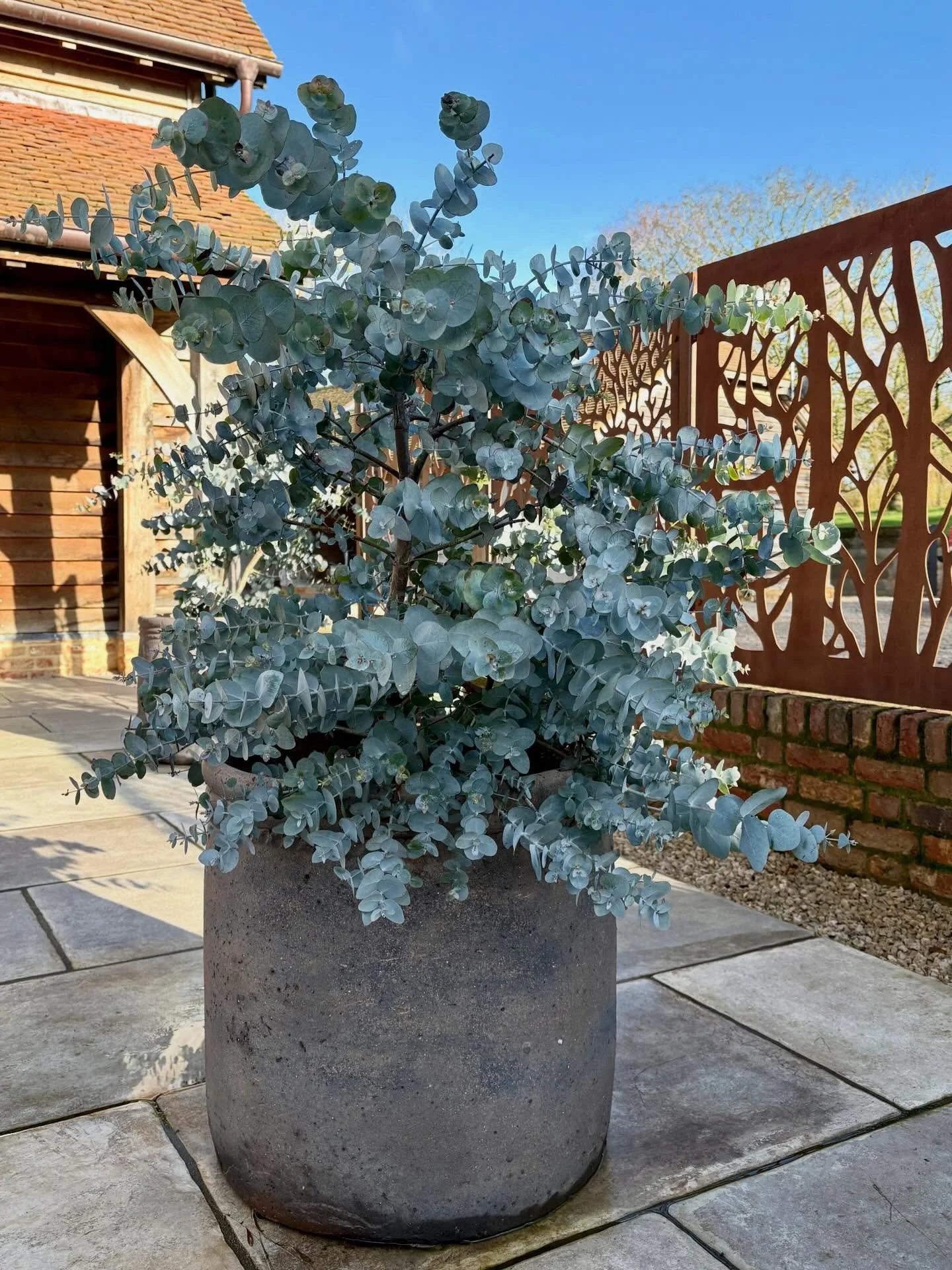 It starts with thoughtful structure &amp; plant-led design. 
We revisited these gardens this week and they&rsquo;re a reminder of why winter structure matters &mdash; strong framework, considered spacing, and the right plants in the right place. 
Gar