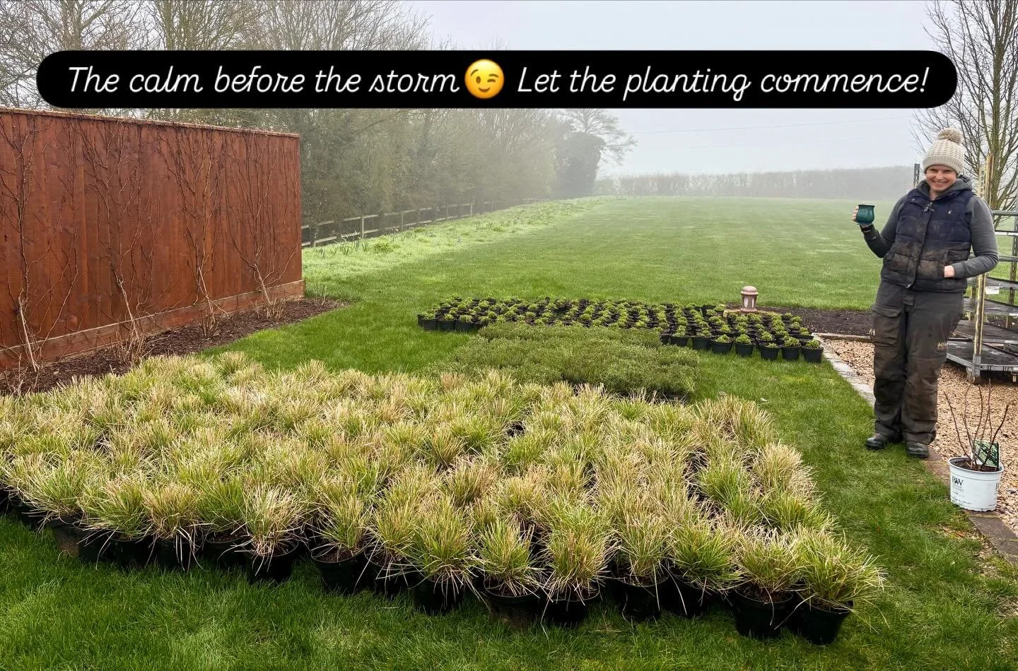 650 plants at the ready! A lovely day to start planting😎 #plantingdesign #seslariaautumnalis #salviaschneeh&uuml;gel #armeria #plantsgreatbardfield