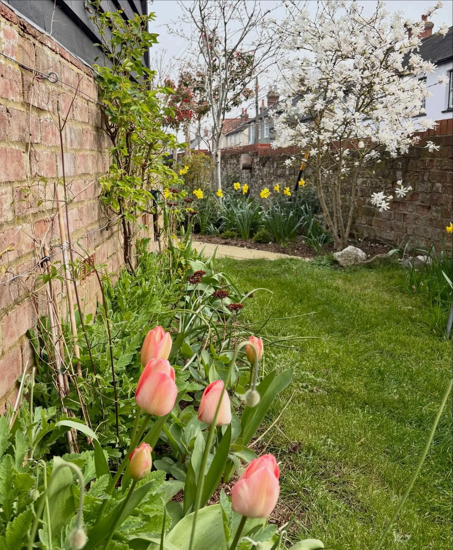 Revisited this garden today and it&rsquo;s doing exactly what we imagined 🌿
The structure has settled in beautifully, the planting is thriving, and the borders are already bursting with colour so early in the season.  It&rsquo;s always such a joy to