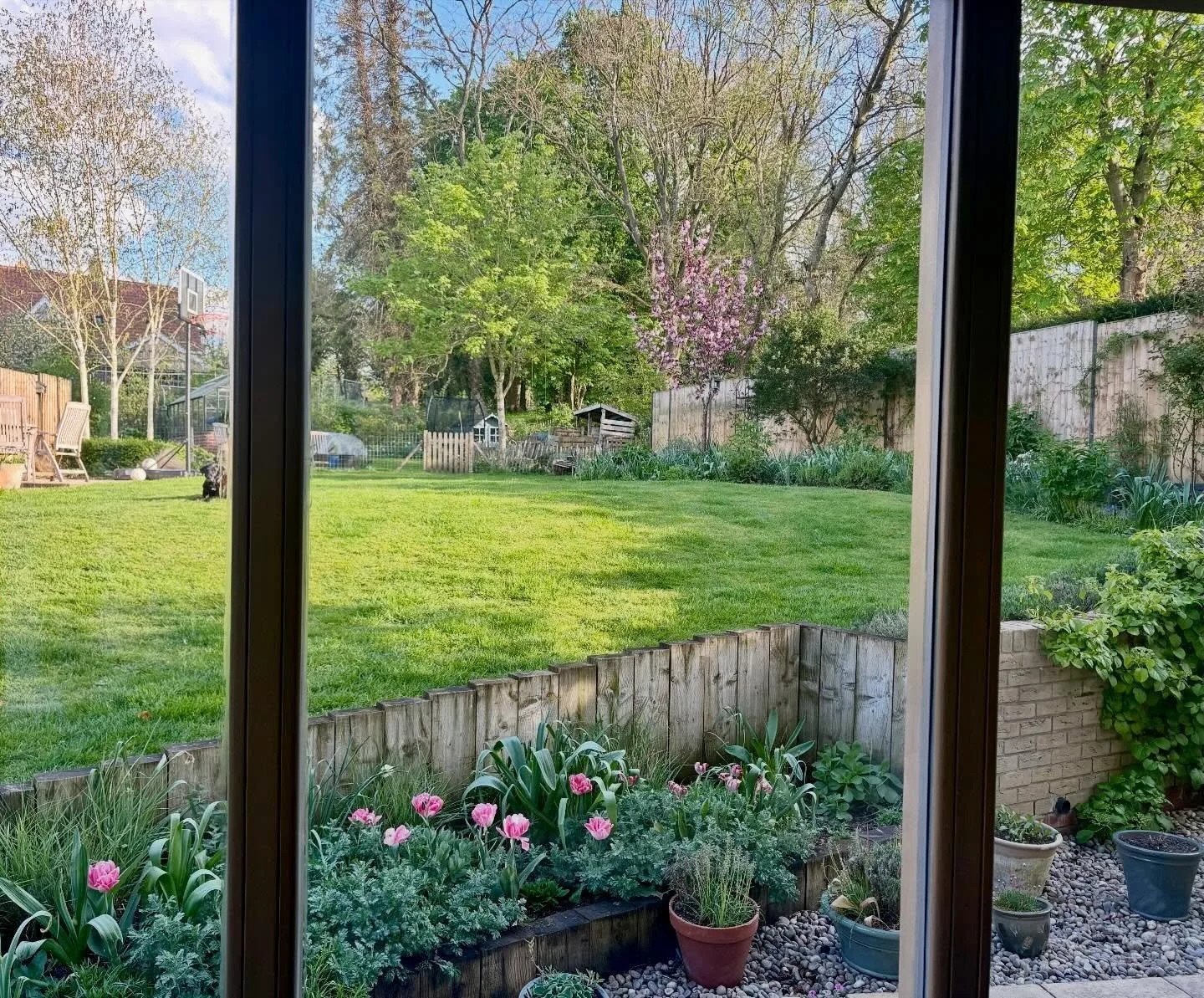 The best views aren&rsquo;t just found; they&rsquo;re designed. 🌿✨

Looking out from the kitchen window, it&rsquo;s a reminder of why we prioritize structure and year-round interest.  While the cherry blossom provides that spring magic, the evergree