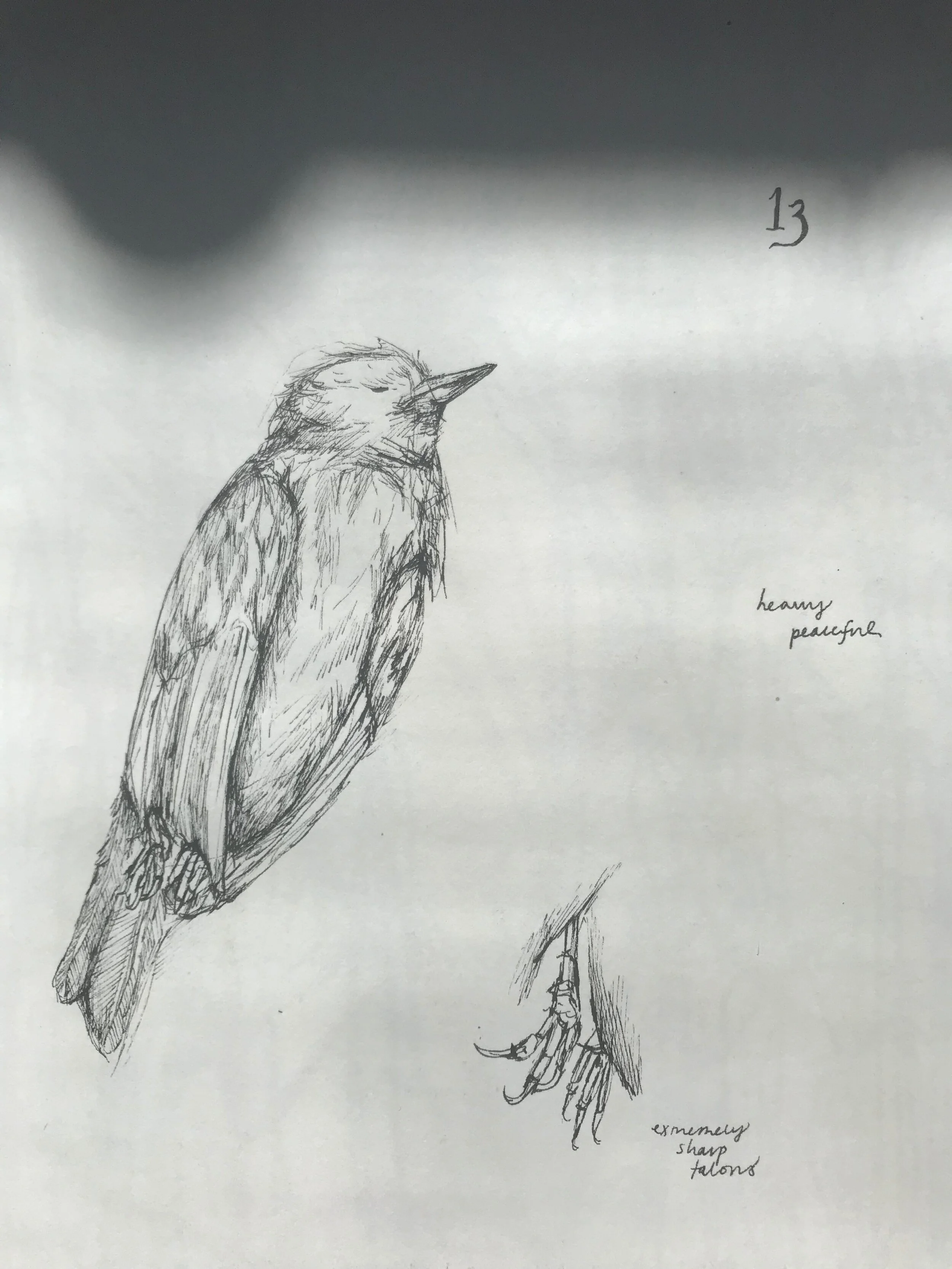 study of a fallen soul.JPG