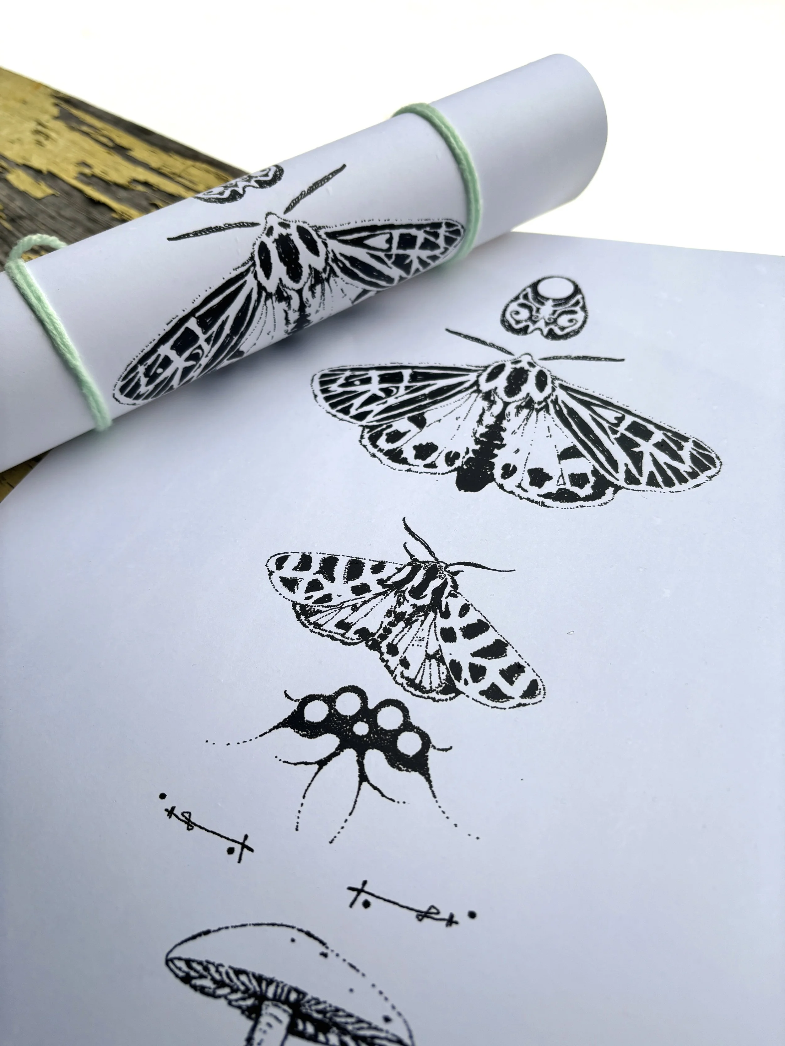 tiger moth & mushroom poster