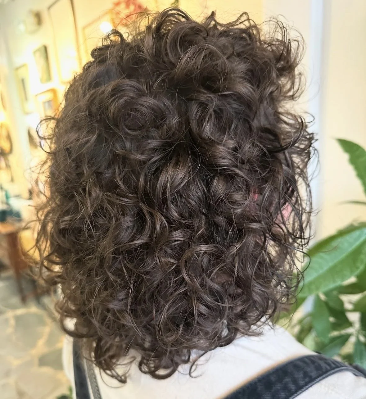 How Often Should I Cut My Curls?
