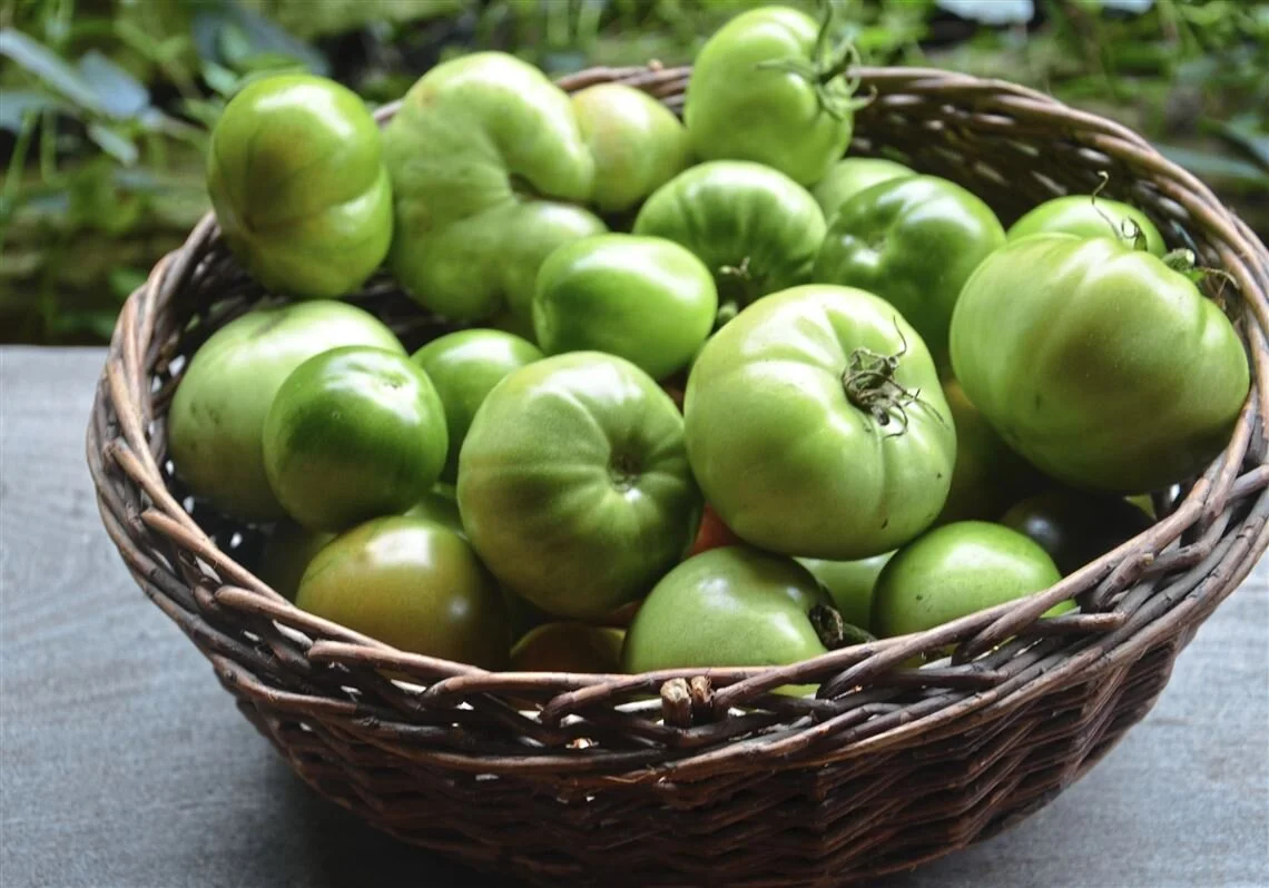 Green Tomatoes
