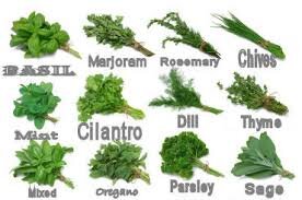 Herbs.jpg
